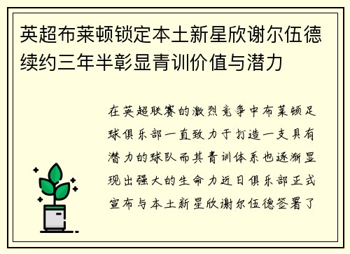 英超布莱顿锁定本土新星欣谢尔伍德续约三年半彰显青训价值与潜力